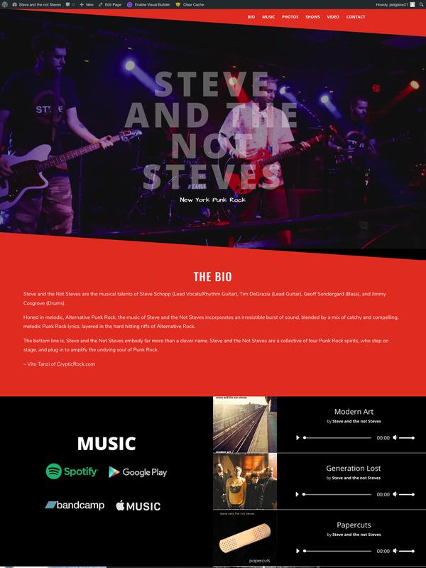 Steve and the not Steves, website